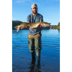 Carte de Pêche Carnassiers  1 journée (Demi Tarif)