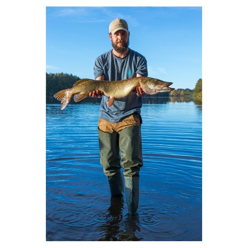 Carte de Pêche Carnassiers  1 journée (Demi Tarif)