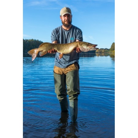 Carte de Pêche Carnassiers  1 journée (Demi Tarif)