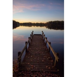 Carte de Pêche Carnassiers  1 journée (Demi Tarif)