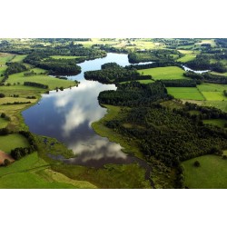 Carte de Pêche Carpe 24h 1 personne