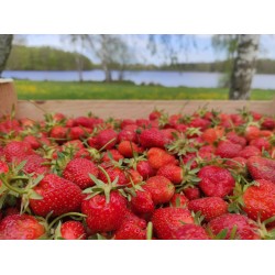 Petit Déjeuner 2 personnes