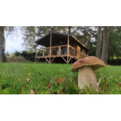 Nuitée en Chalet tout confort (du 01/09 au 30/06)