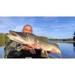 Carte de Pêche Carnassiers  1 journée (Plein Tarif)